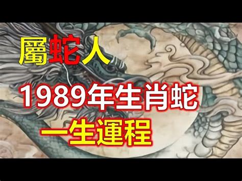 1989屬什麼